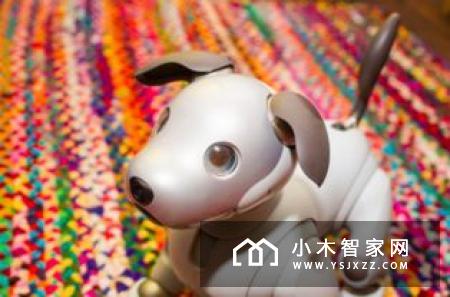 当心！智能家居正在泄露你的隐私
